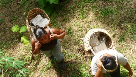 Comunidad Indígena del Guabo, Panamá, IBO - VALDESOL